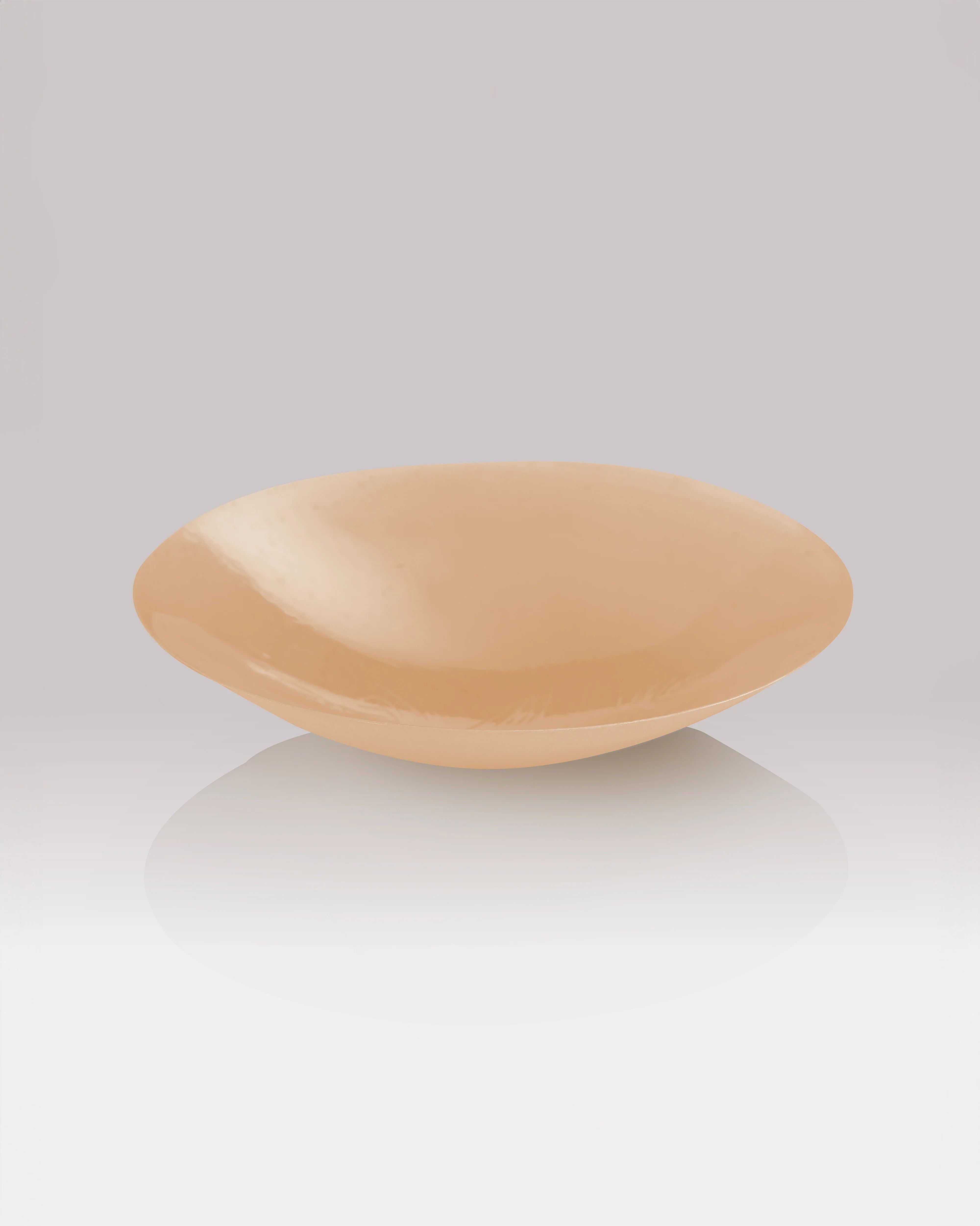 NIPS - CONCEAL - Image 10